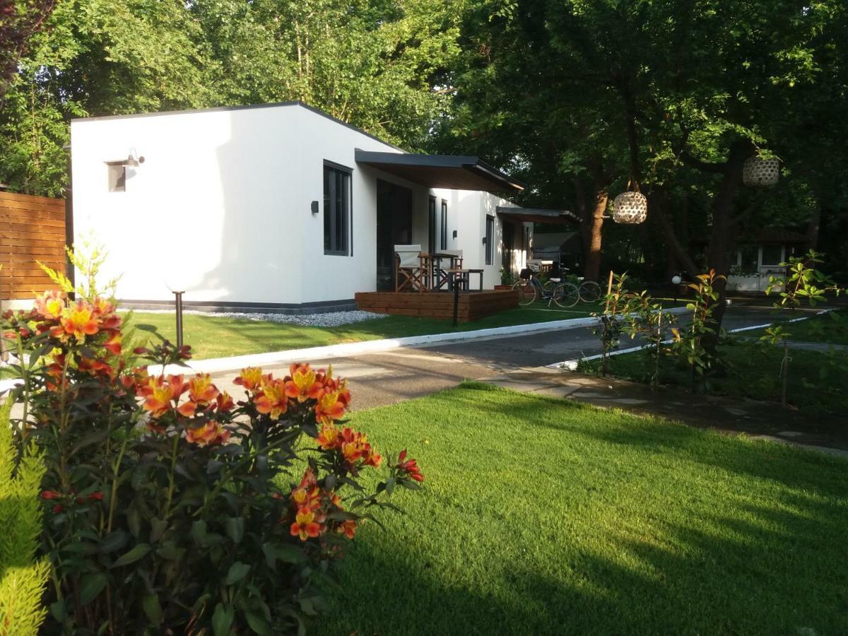 Gkaras Campsite & Apartments 렙토카리아 외부 사진